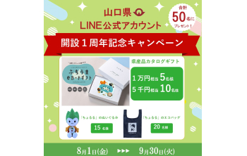 きただにひろしの写真