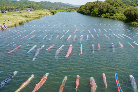 佐波川こいながしの様子の写真