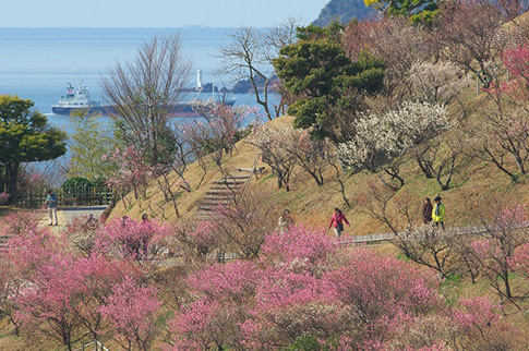 冠山総合公園を散策する人々の様子の写真