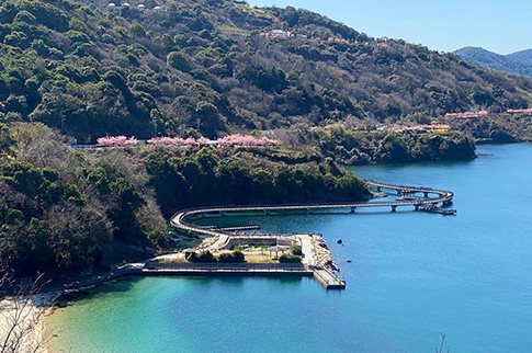 笠戸島の写真