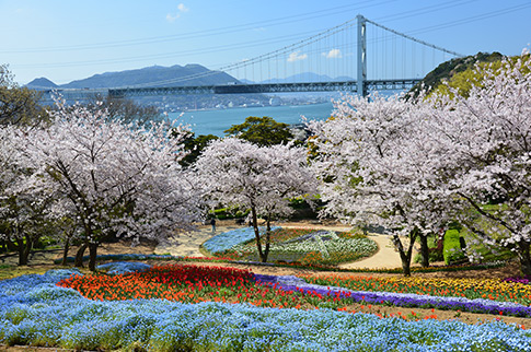 チューリップ園から望む関門海峡の写真