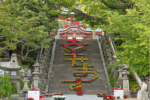 防府天満宮花回廊の様子の写真