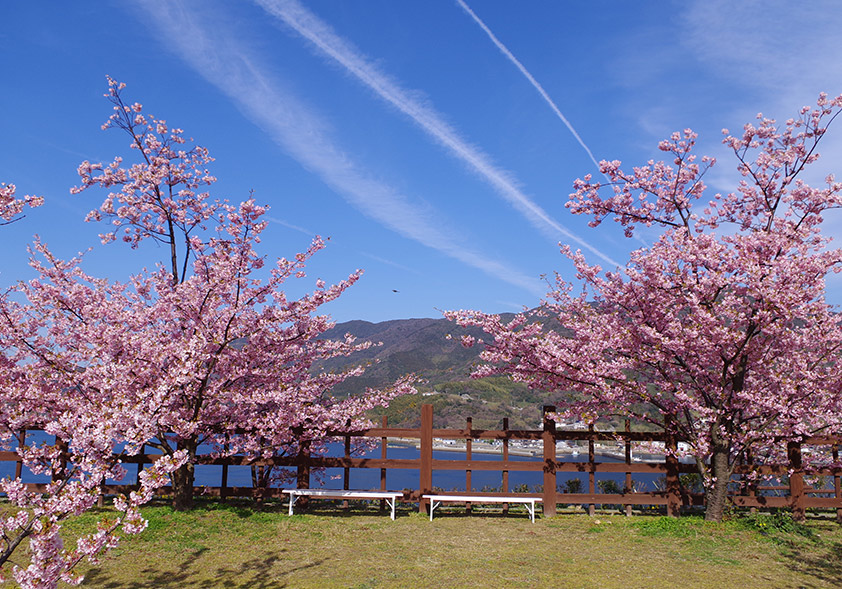 城山歴史公園の写真