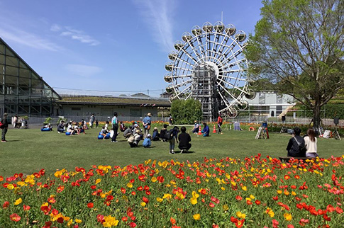 フラワーランドの花車「花くるりん」とアイスランドポピーの写真