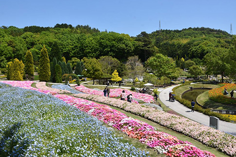 春の花が咲いている様子の写真