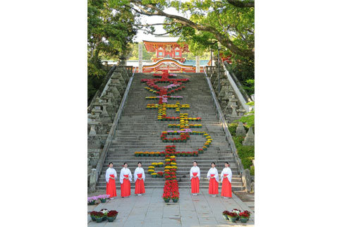 防府天満宮花回廊の写真