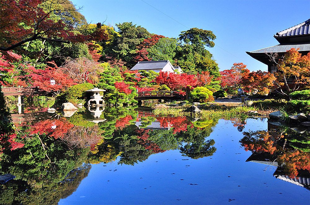 最優秀賞 長府庭園(下関市)の写真