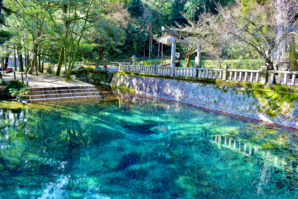 入賞 別府弁天池(美祢市)の写真