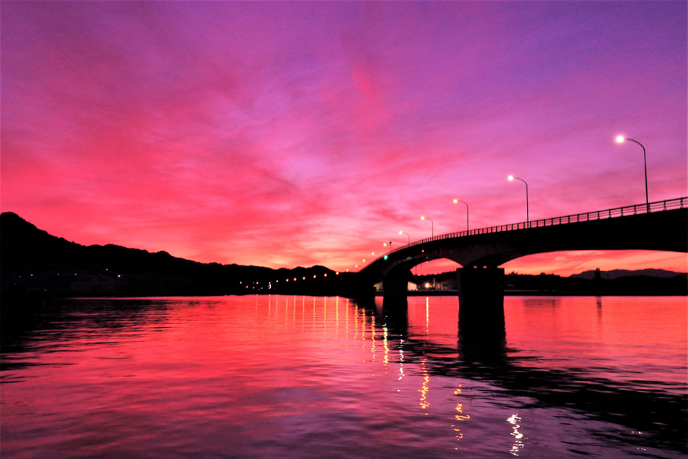 入賞 南周防大橋(平生町)の写真