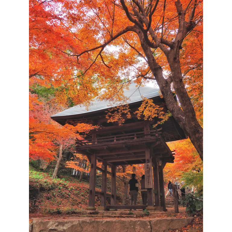 最優秀賞 両足寺(山口市)の写真