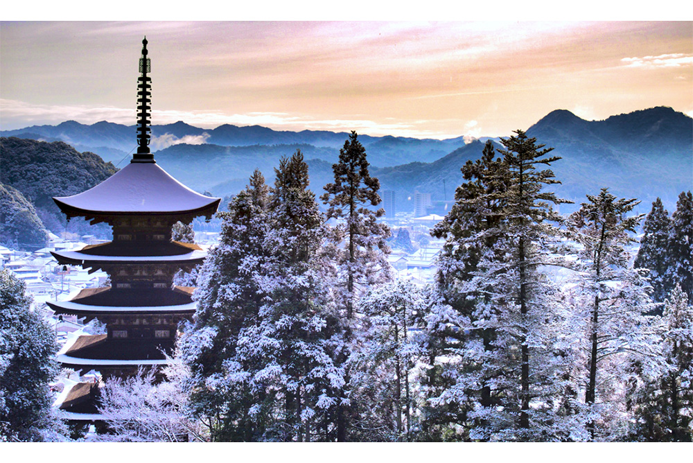 入賞 瑠璃光寺五重塔(山口市)の写真