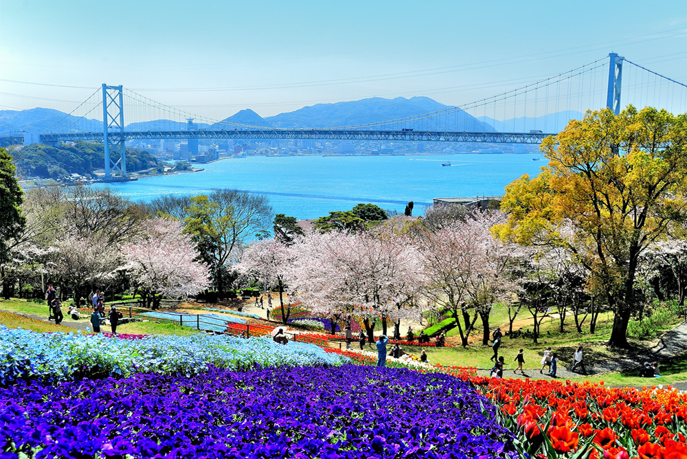 入賞 火の山公園(下関市)の写真