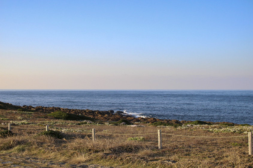 牧崎風の公園から見る日本海の写真