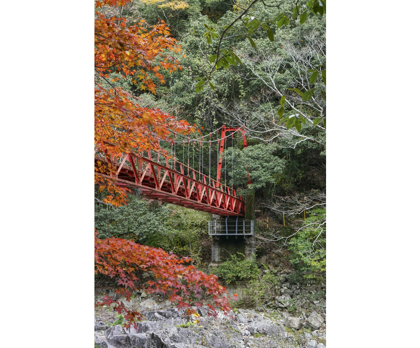 長門峡の紅葉橋の写真