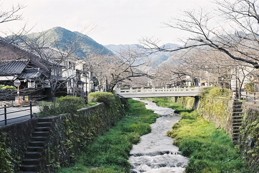 桜が満開を迎える前の一ノ坂川の写真