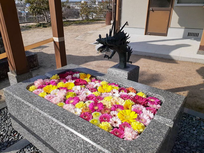 浅江神社の花手水の写真