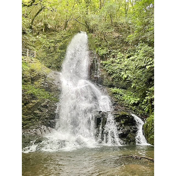 秋芳白糸の滝の写真