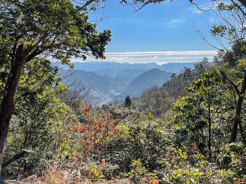 東鳳翩山から見た景観の写真