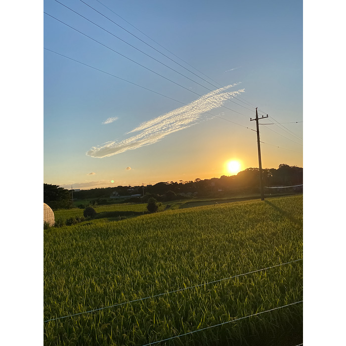 田園に沈む夕日の写真