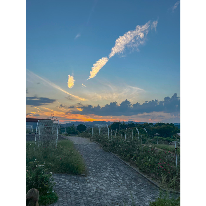 蜂ヶ峯総合公園の夕景の写真