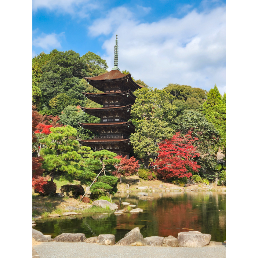 紅葉シーズンの瑠璃光寺五重塔の写真