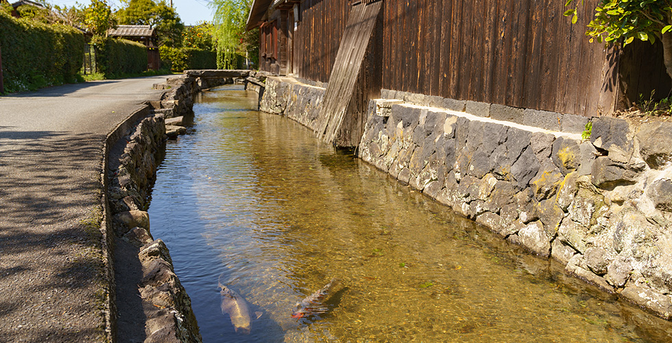 藍場川の写真