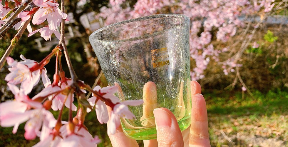 サクラの花とともに完成品を眺める様子の写真