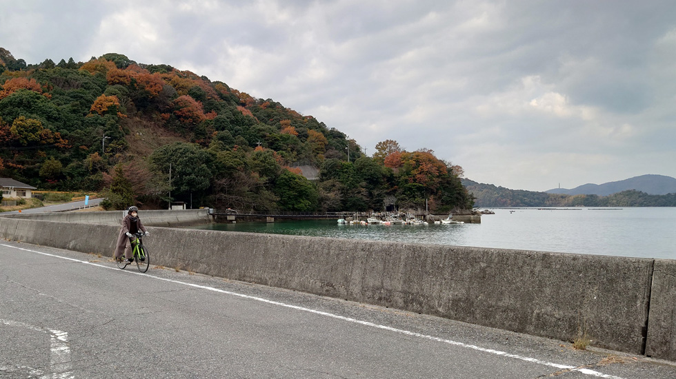 海辺を走る様子の写真