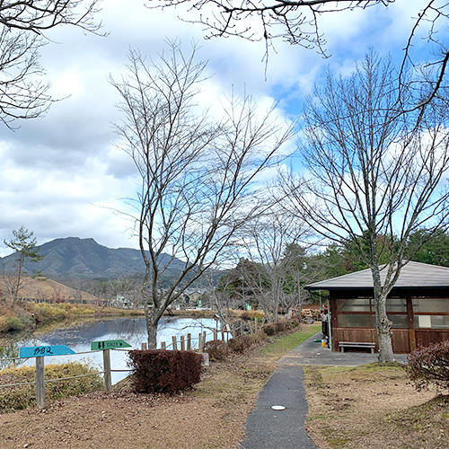 池と遊歩道の写真