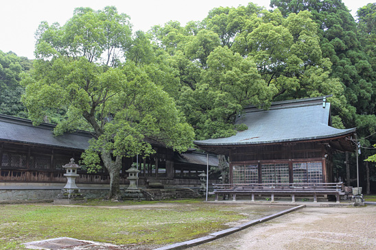 野田神社の右手にある、毛利元就を祭神とする豊栄神社の写真