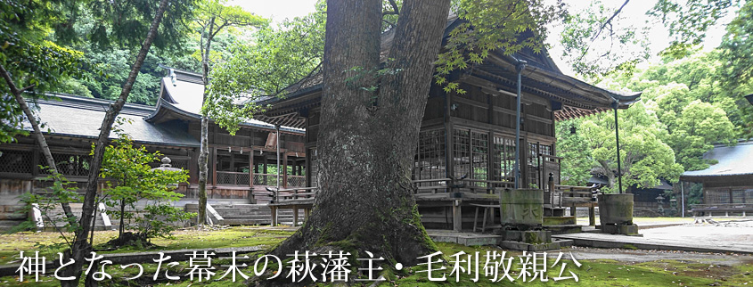 野田神社拝殿(手前)と幣殿および回廊(後ろ)、豊栄神社(右)の写真