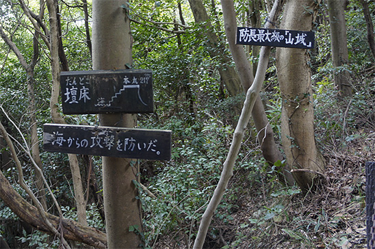 若山城跡の登山道の写真