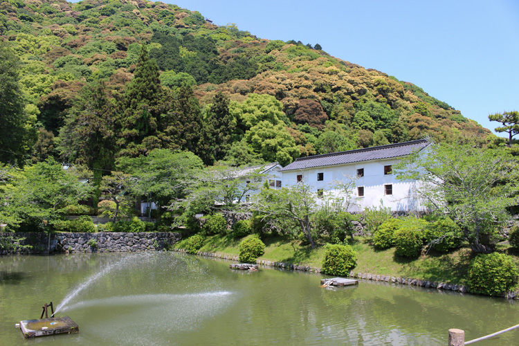 岩国城ロープウエー乗り場方面から吉香神社へ向かう石橋にて、居館跡の南西面を写した写真