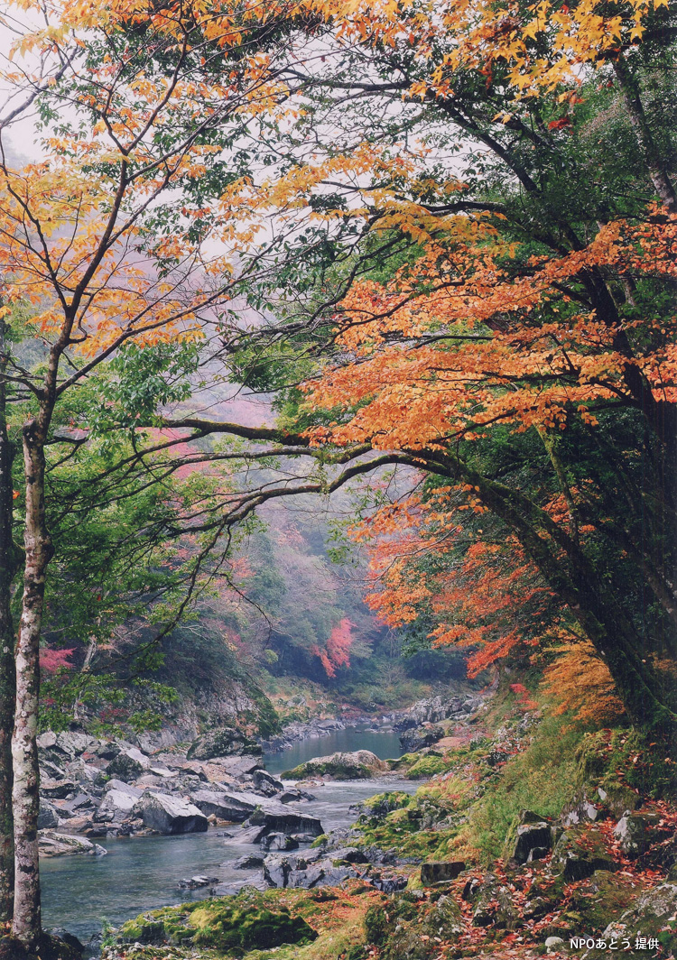 「静寂の秋」(NPOあとう 提供)の写真