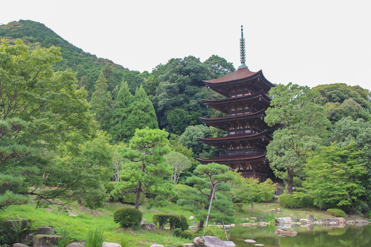 「瑠璃光寺五重塔」の写真