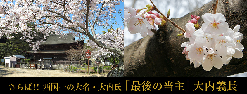 (左)「功山寺仏殿」(下関市)と(右)「若山城跡」の桜の写真