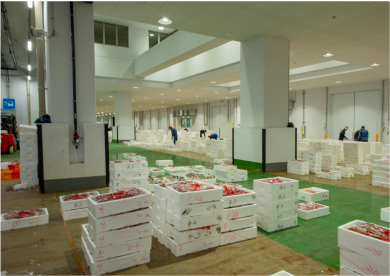 下関漁港地方卸売市場の写真