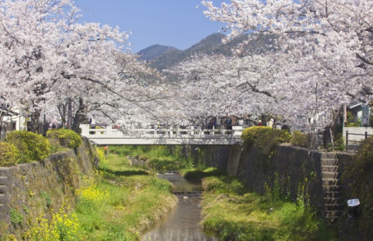 一の坂川