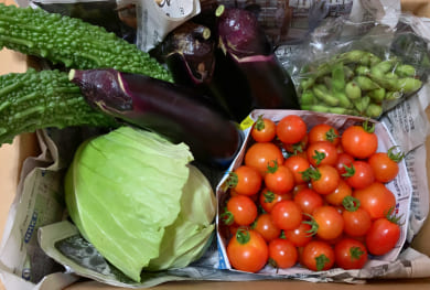 季節の野菜の写真