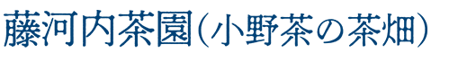藤河内茶園(小野茶の茶畑)