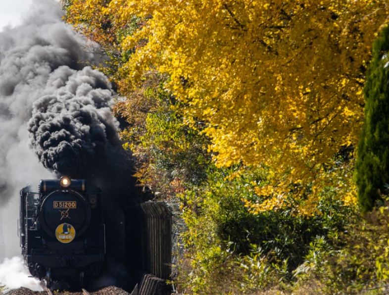 ＳＬやまぐち号