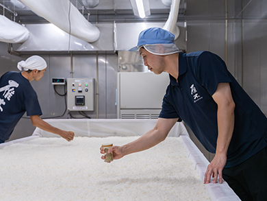 奥から同時に一定のリズムで種麹を散布している様子の写真