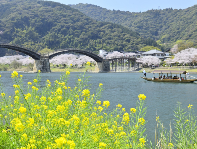 春の遊覧船「さくら舟」