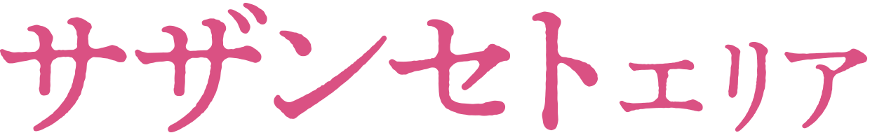 サザンセトエリア