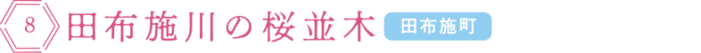 田布施川の桜並木