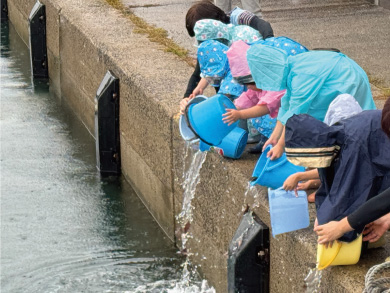 人工的に育てた種苗を放流している様子