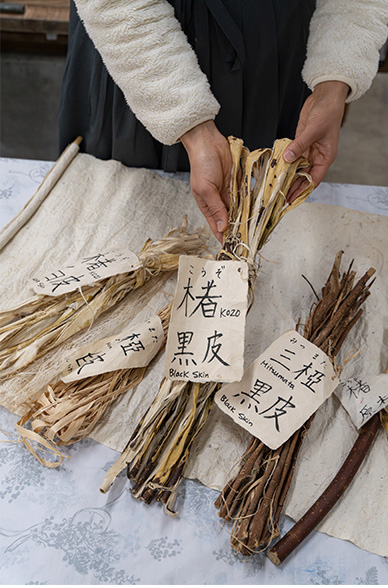 小川桃のかき氷の写真